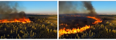 A Simulation-Grounded Agentic VLM Framework for Wildfire Monitoring and Reporting