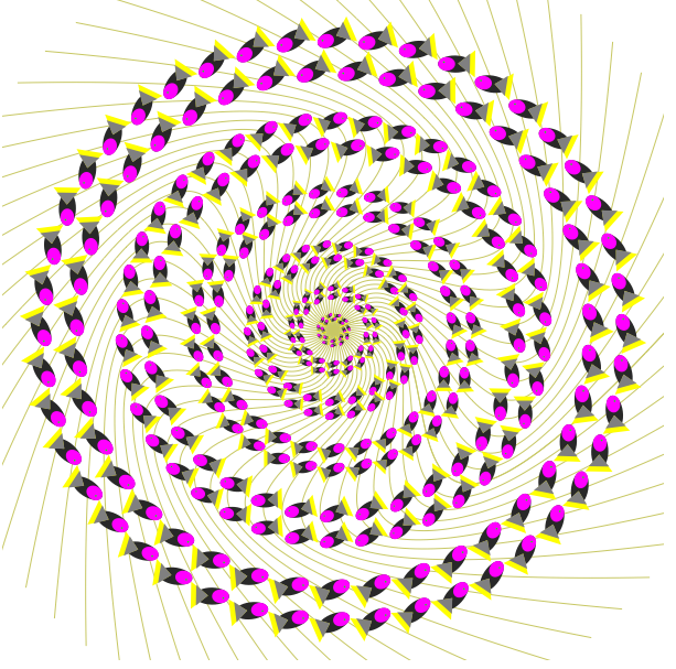 CS 3451A Computer Graphics