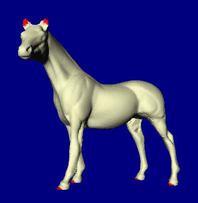 Horse tips