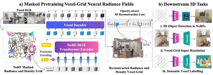 3D Representations and Neural Fields